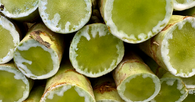 Plantaardige squalaan: waarom het gewonnen wordt uit suikerriet en wat dat doet voor de huid van je baby